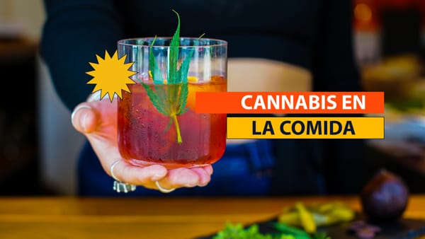 Cannabis en la Comida